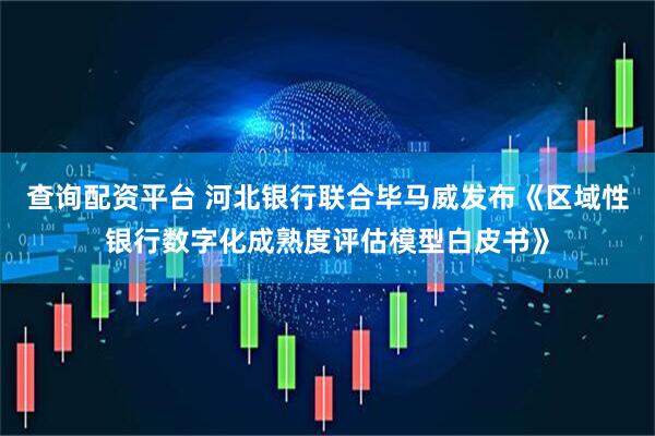 查询配资平台 河北银行联合毕马威发布《区域性银行数字化成熟度评估模型白皮书》